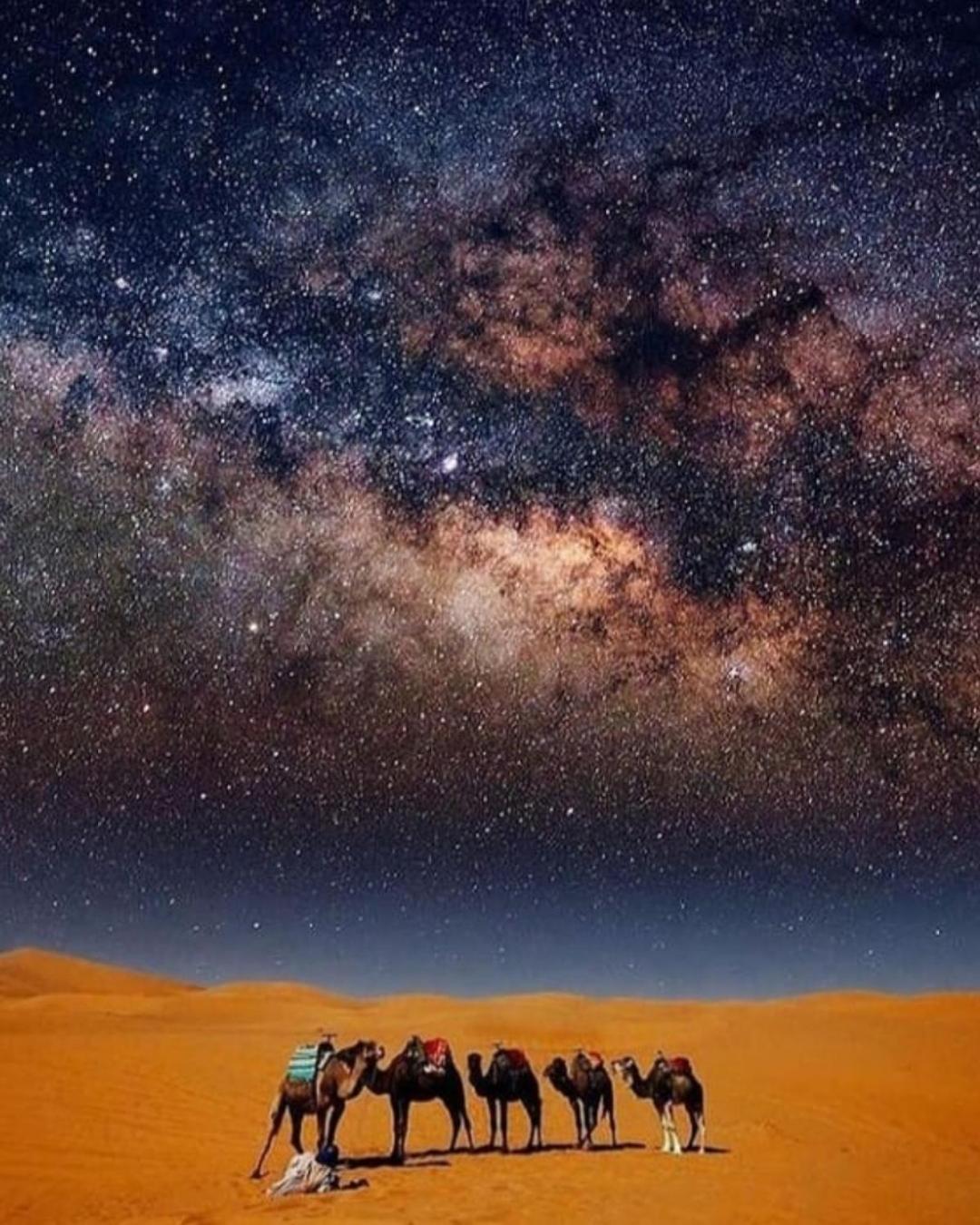 Overnight Desert Camp Merzouga Extérieur photo